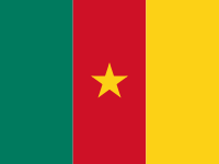 Flag: About Cameroon