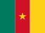 Flag: Cameroon